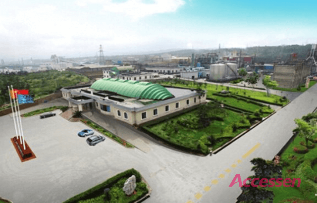 Zhongyi Group Project