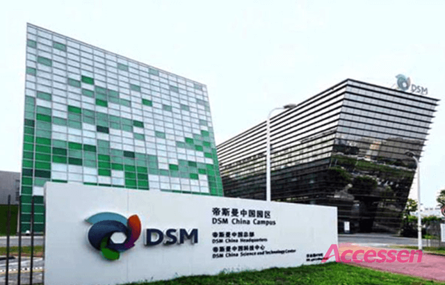 DSM Engineering Plastics Project