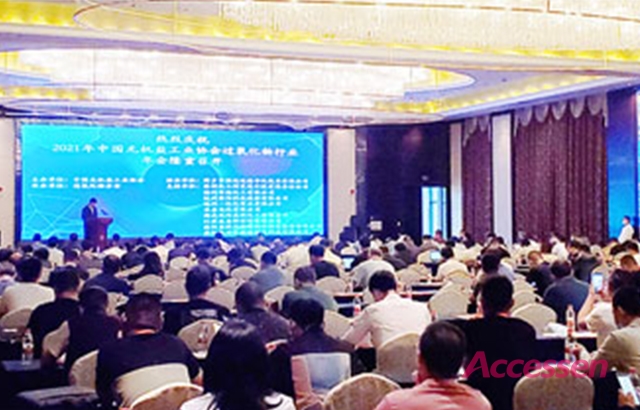 China Inorganic Chemical Industry Association 